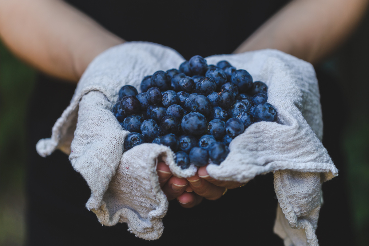 blueberries-in-hand_4460x4460.jpg